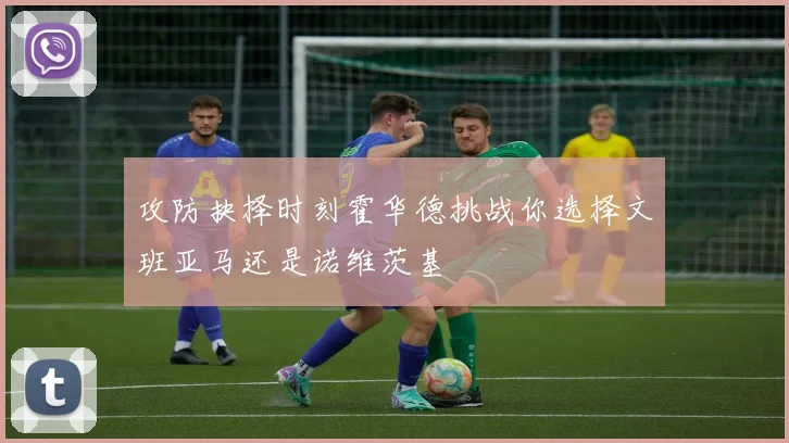 攻防抉择时刻霍华德挑战你选择文班亚马还是诺维茨基