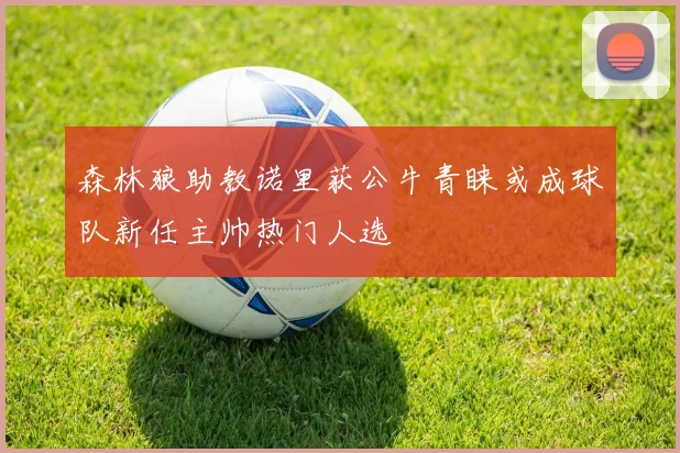 森林狼助教诺里获公牛青睐或成球队新任主帅热门人选